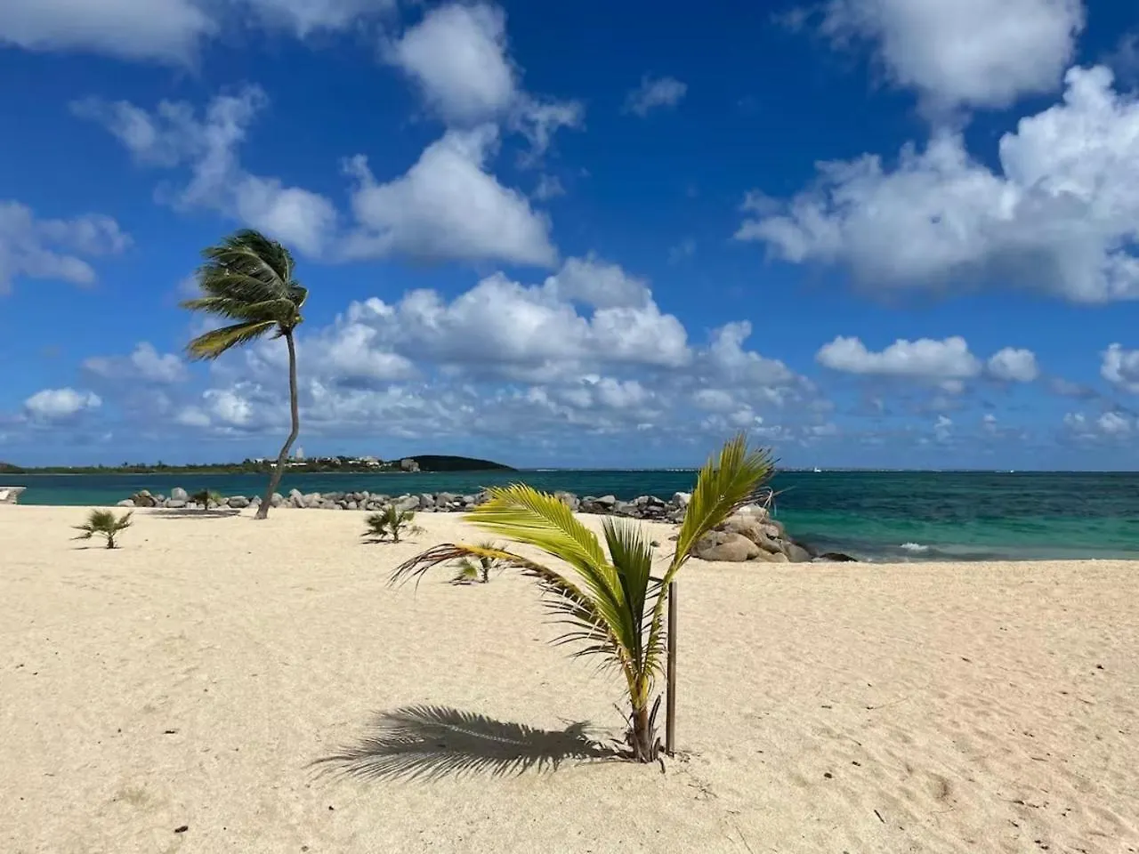 Studio Coconut Baie Nettle 0*,  Sint Maarten